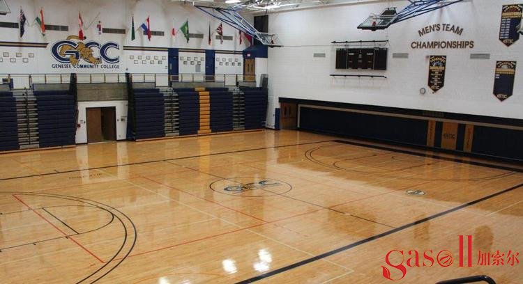 篮球场馆木地板色彩设计