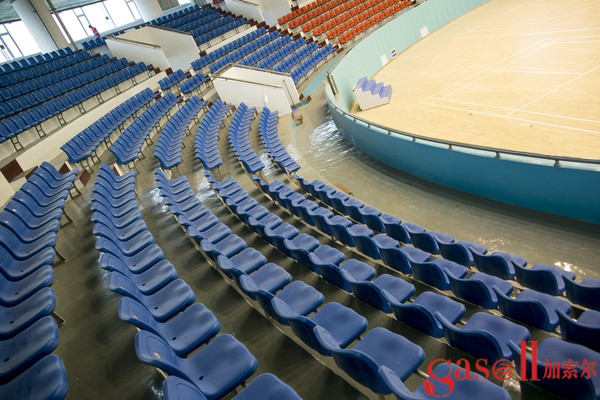 大庆运动场馆木地板厂家