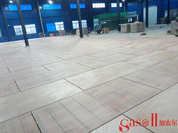 常德运动木质地板2